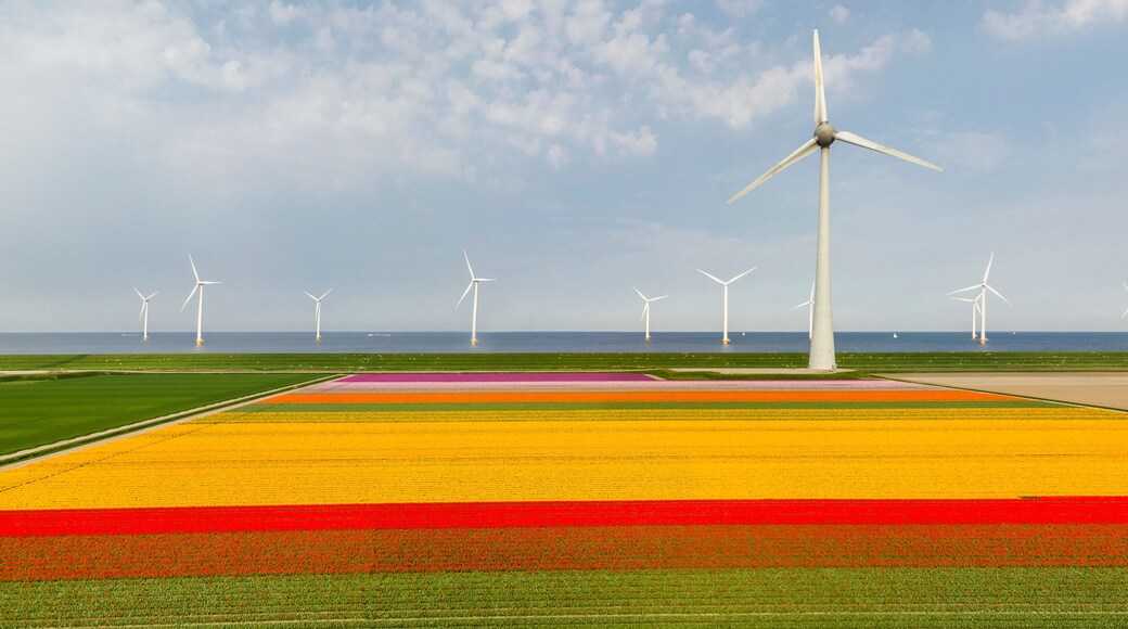 Commune de Noordoostpolder