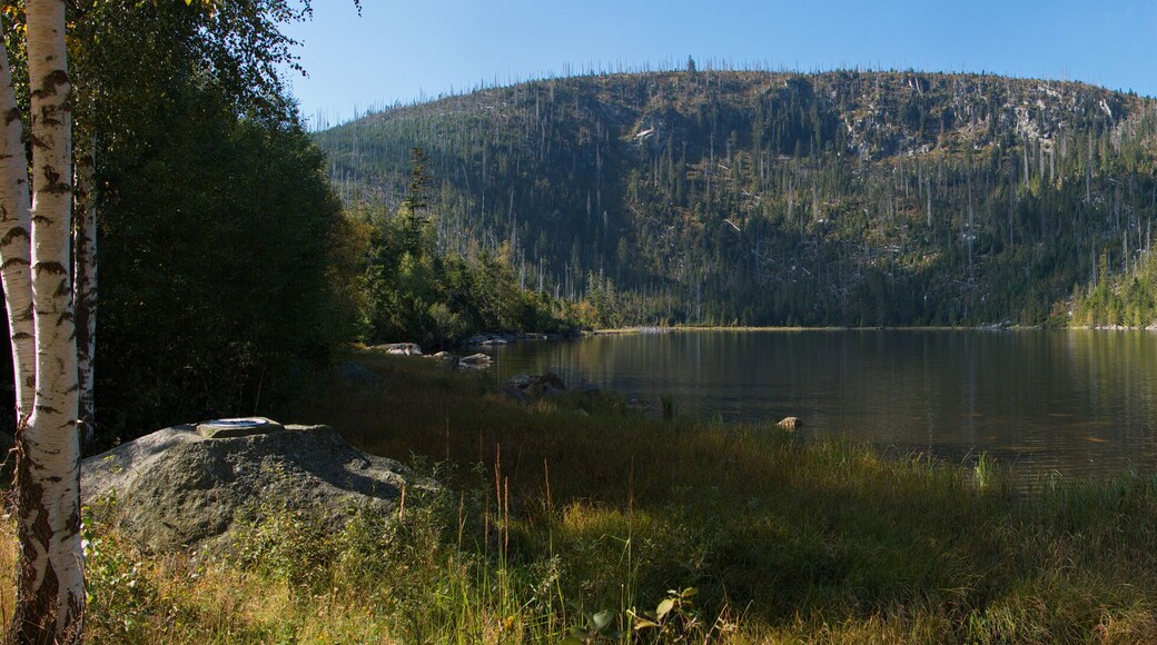 Plesne Lake in Bohemian Forest,Prachatice District,South Bohemian Region,Czech republic,Europe