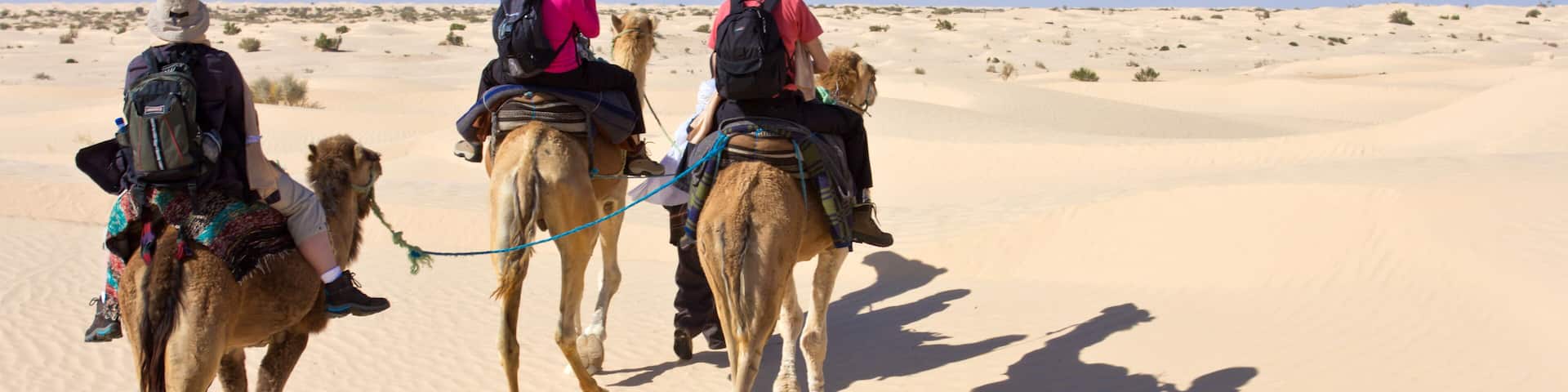Touristes à dos de dromadaire dans le désert