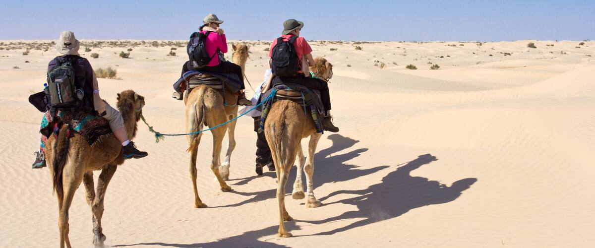 Three people riding camels in a desert landscape.
