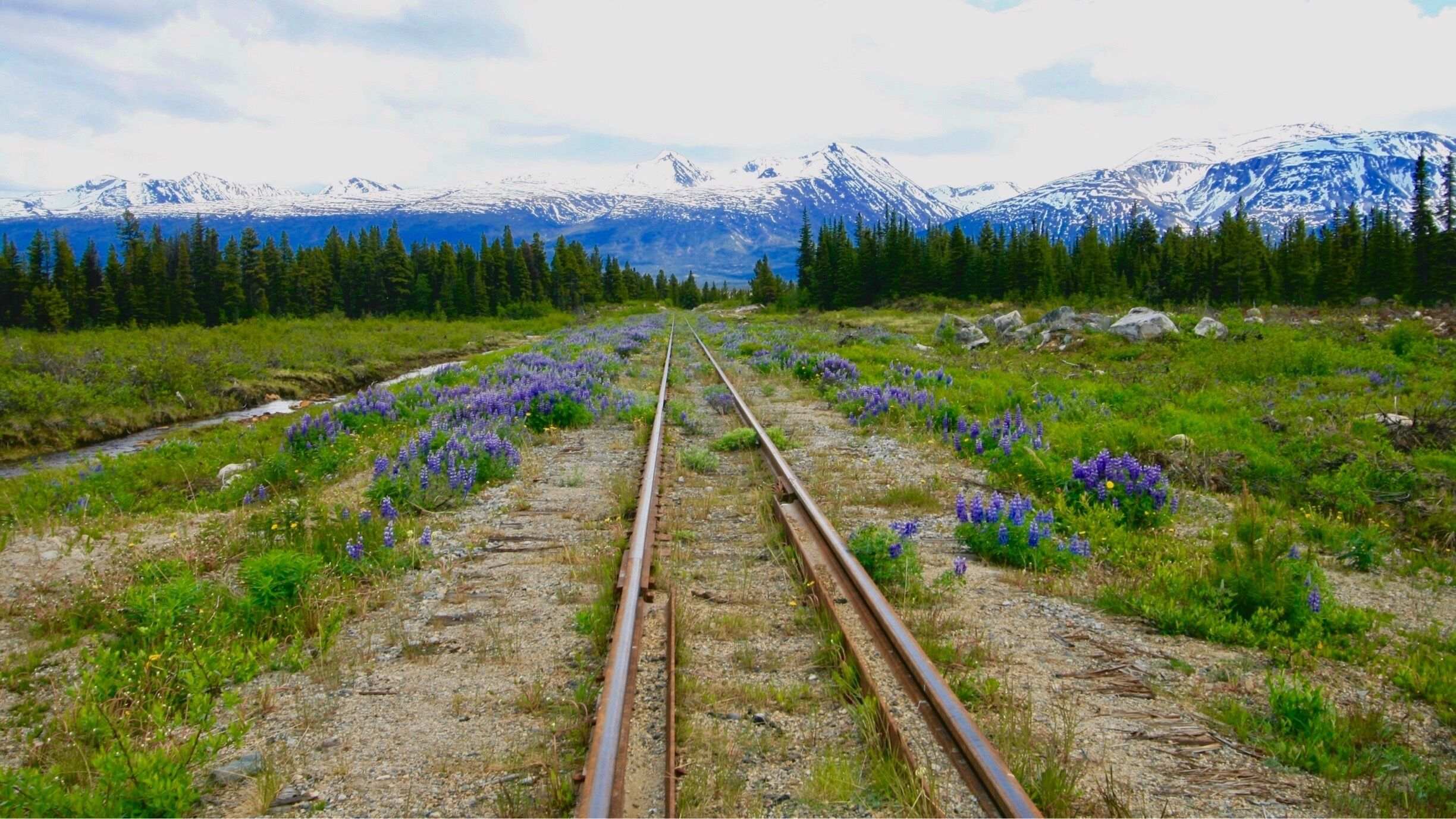 This photo was taken where the Klondike Highway crosses the Yukon Railway. This railway, from Whitehorse to Skagway, follows the old Yukon gold rush path and was the only way to travel to Skagway by land until the Highway was built in 1976. Lynn and I rented a Jeep in Skagway and spent the day driving into Canada.
#GreatOutdoors
#Perspectives