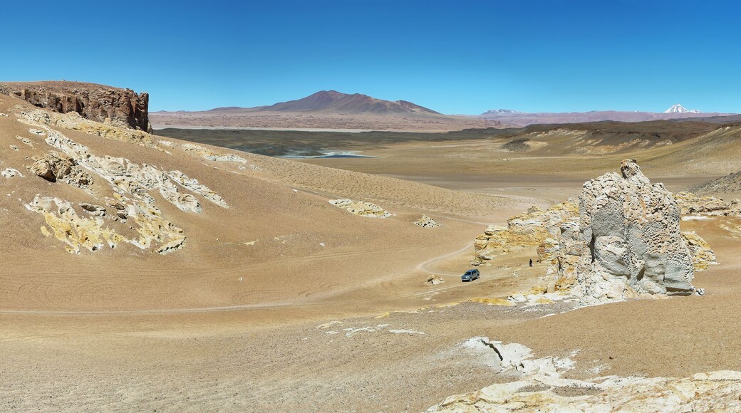 On the way to Salar de Tara, Chile