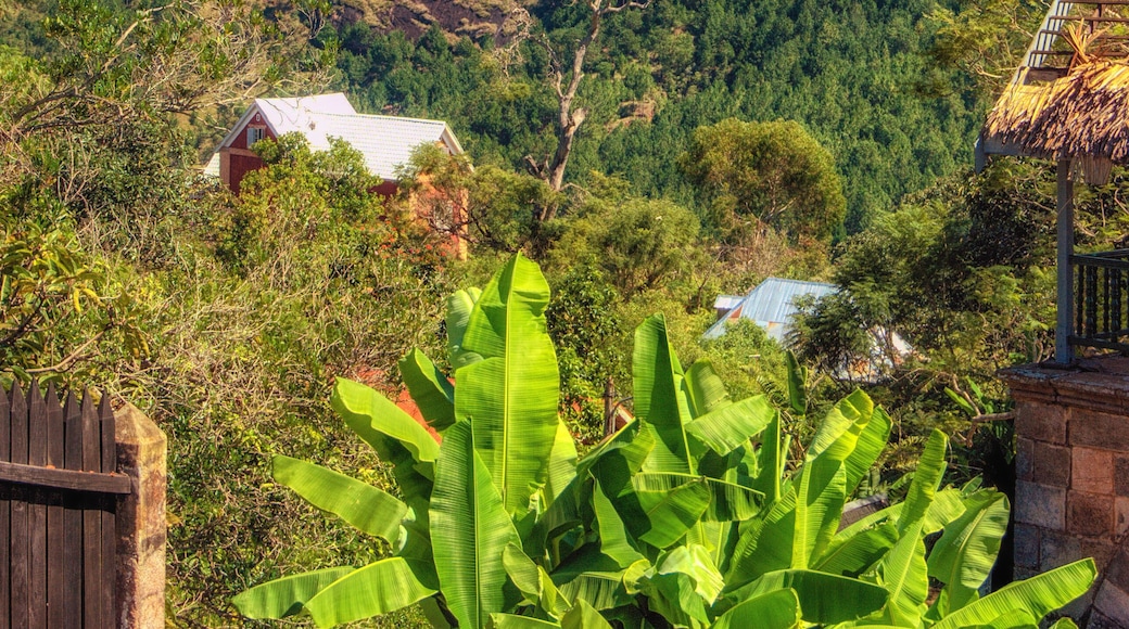 ์ํ๋๋๋ฆฌ๋ณด ์๋ฐ๋ผ๋๋ผ๋
ธ