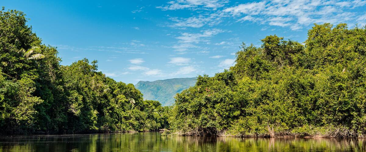 Beautiful sunny day in the Amazonia Basin river. Corocoro river goes along Yutaje Community whicth mean in the native language: River Foam (Espuma del Rio)