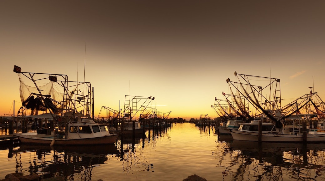 Parroquia Plaquemines