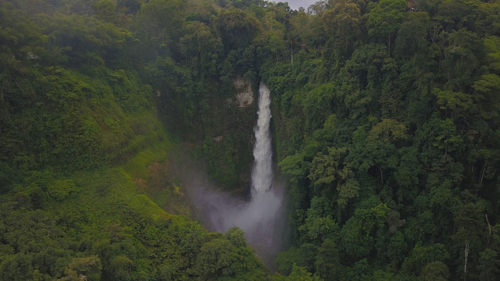 A waterfall surrounded by dense forest.