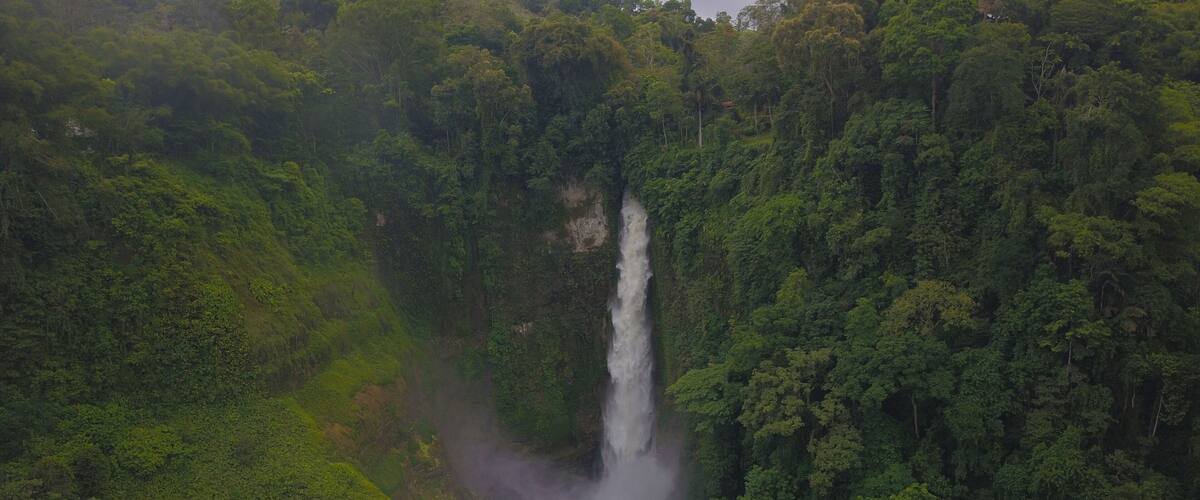 A waterfall surrounded by dense forest.