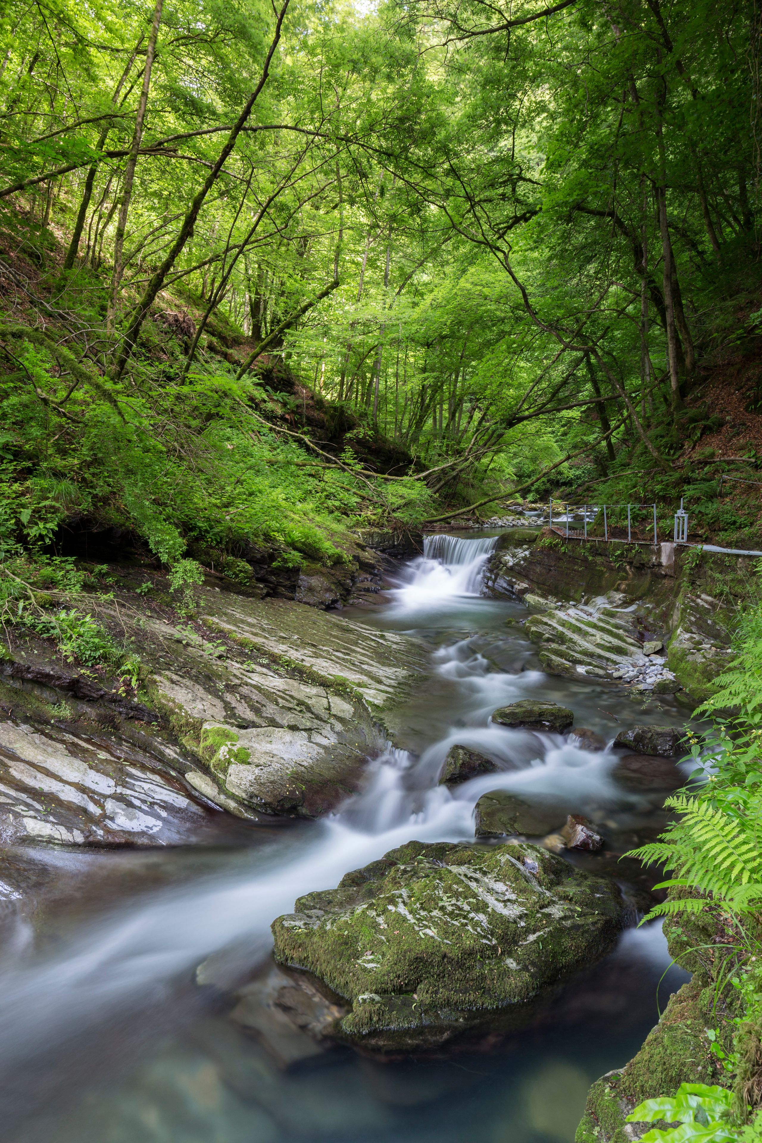 The river Breggia at the Bruzella mill, Muggio Valley, Mendrisio District, Canton Ticino, Switzerland.