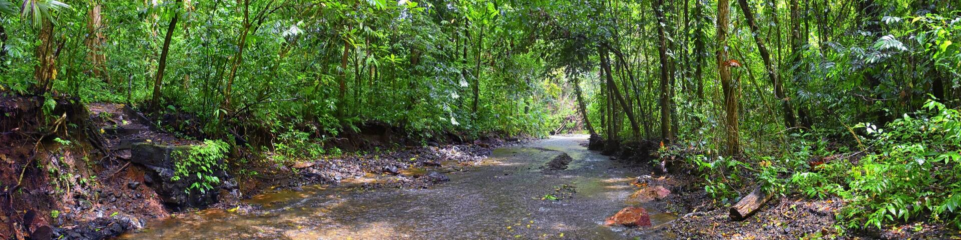 Waterfall Jaco Costa Rica, Trail views, Catarastas Valle Encantado - Hidden waterfall surrounded by green trees in the jungle. Central America.