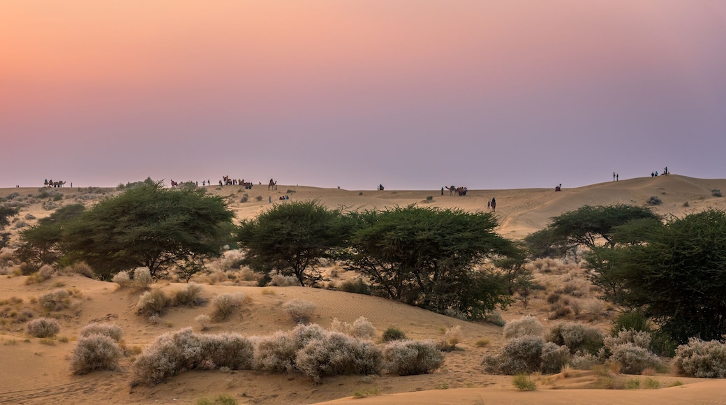 View during sunrise at great thar desert in Jaisalmer, Rajasthan, India.