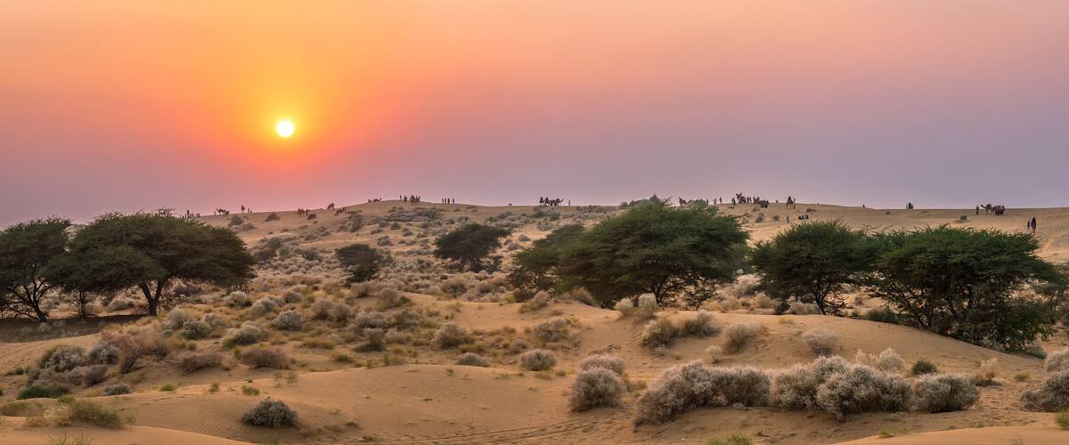 View during sunrise at great thar desert in Jaisalmer, Rajasthan, India.