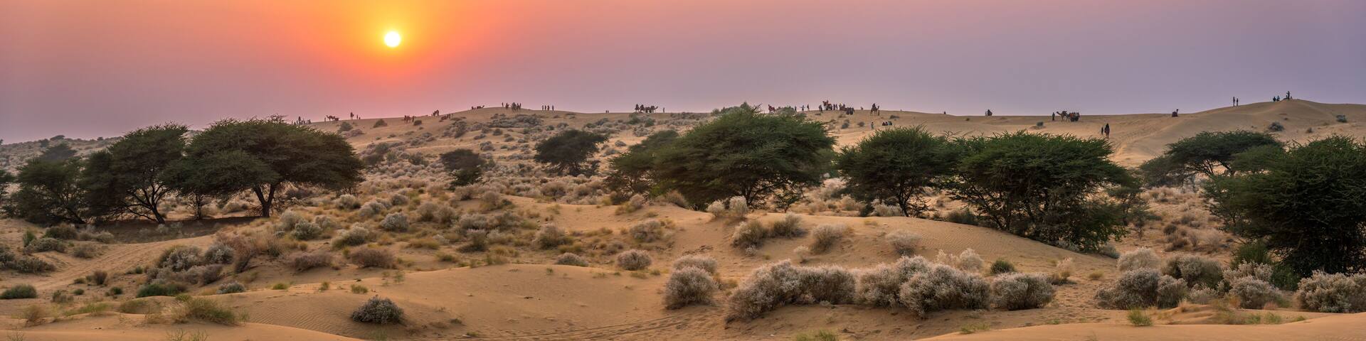 View during sunrise at great thar desert in Jaisalmer, Rajasthan, India.