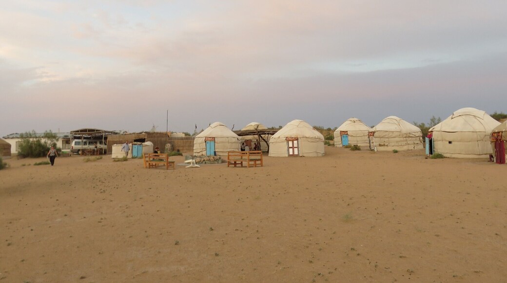 I had it noted as Nurata Desert, while this marker appears to be a nearby town. We were well over towards to the lake to the north. The yurts are not unlike the gers from where I live in Mongolia, although the small differences are many. The desert gets cooler at night but the yurts stayed way too hot. #colorful