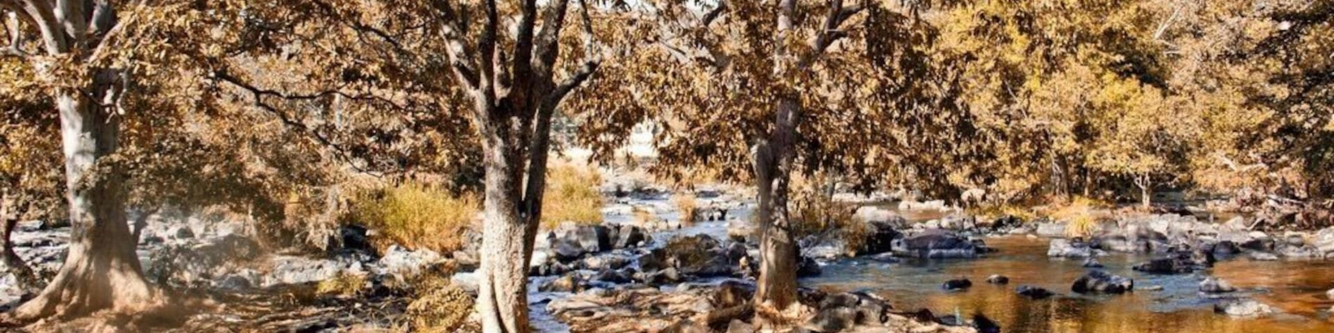 Un río con rocas y árboles que se reflejan en el agua.