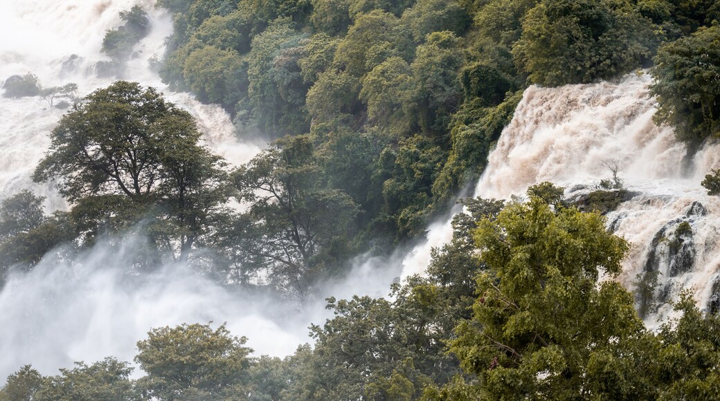 Shivanasamudra falls in Chamarajanagar District of the state of Karnataka, India