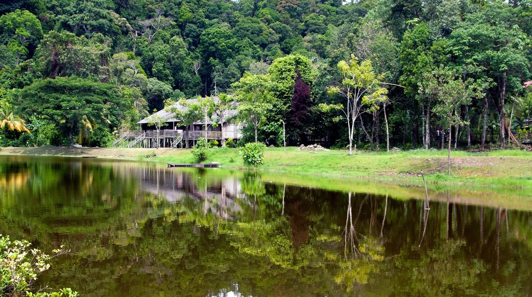 District de Meradong