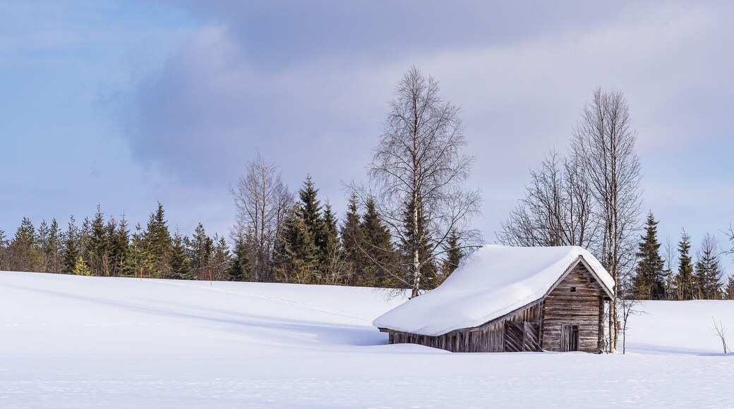 Landschaft mit Schnee und Holzhütte im Winter in Kuusamo, Finnland