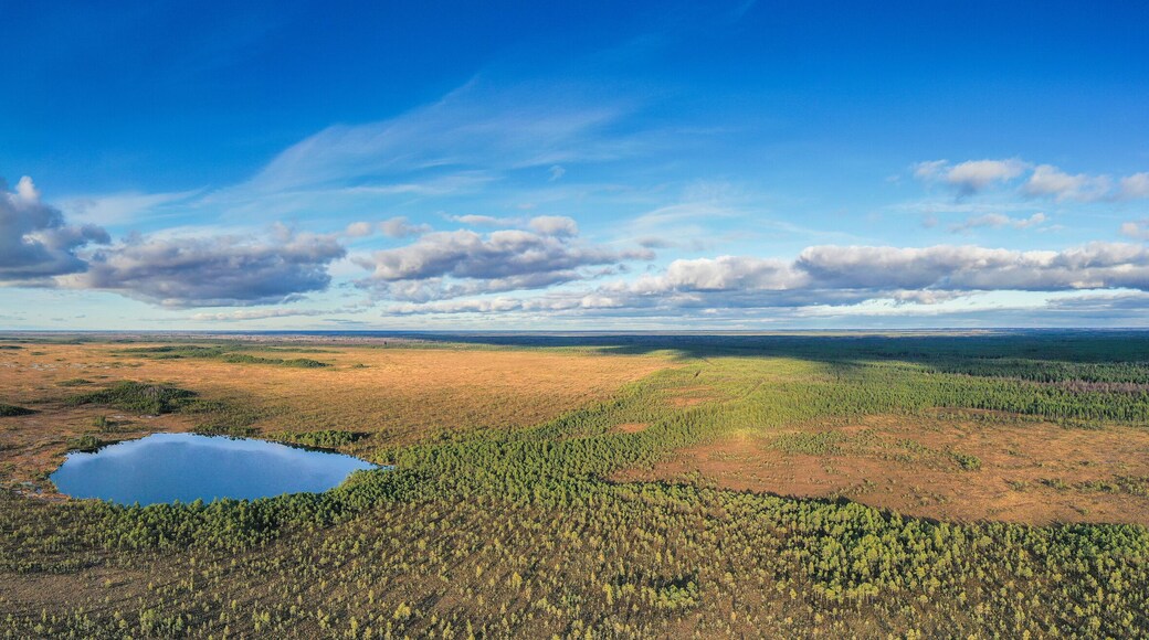 Commune de PÔhja-Sakala