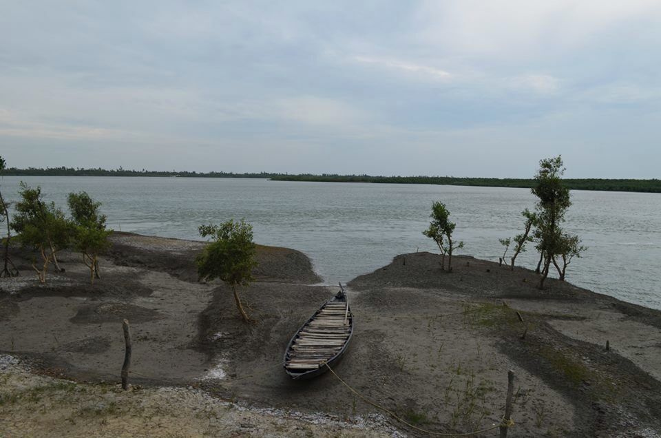 One of the many pristine views of the mangroves from the village we stayed at. #Sundarbans #WestBengal #IncredibleIndia #wanderlust #waterlust
