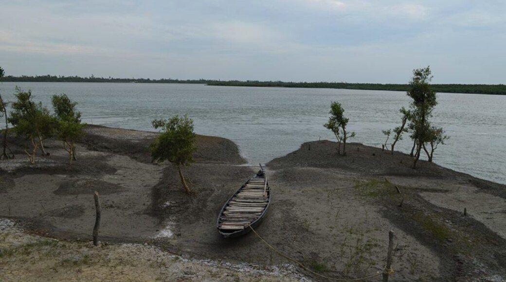 One of the many pristine views of the mangroves from the village we stayed at. #Sundarbans #WestBengal #IncredibleIndia #wanderlust #waterlust