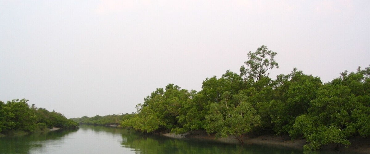 Nice promenade through the Sunderbans...The challenge: find the tiger !!!