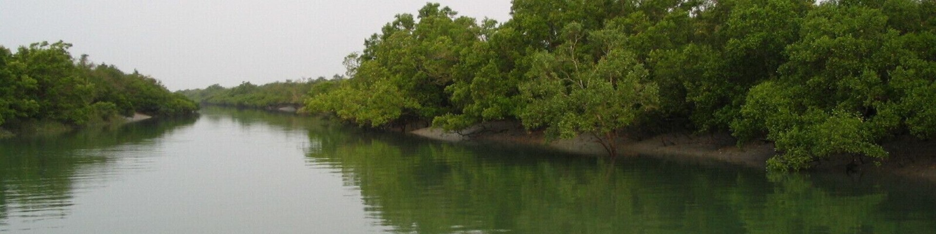 Nice promenade through the Sunderbans...The challenge: find the tiger !!!