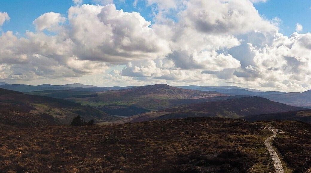 If you choose to do just one section or many this walk is one of the best. Within an hour of starting in Marley Park your is the hills above the city and it only gets better from there....
The Wicklow Way begins in Dublin's southern suburb of Rathfarnham and travels in a south-south-westerly direction across the Dublin and Wicklow uplands, then through the rolling hill country of southwest County Wicklow to finish in the small, County Carlow village of Clonegal 127 kilometres later. http://www.wicklowway.com/