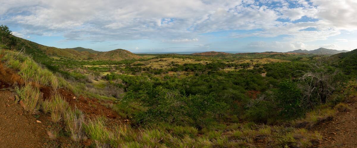 Road to the mountain. Arid mountains. Paths through the mountains with cacti and xeric vegetation. Red earth.