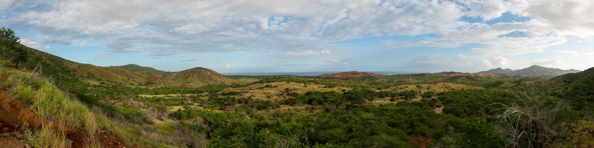 Road to the mountain. Arid mountains. Paths through the mountains with cacti and xeric vegetation. Red earth.