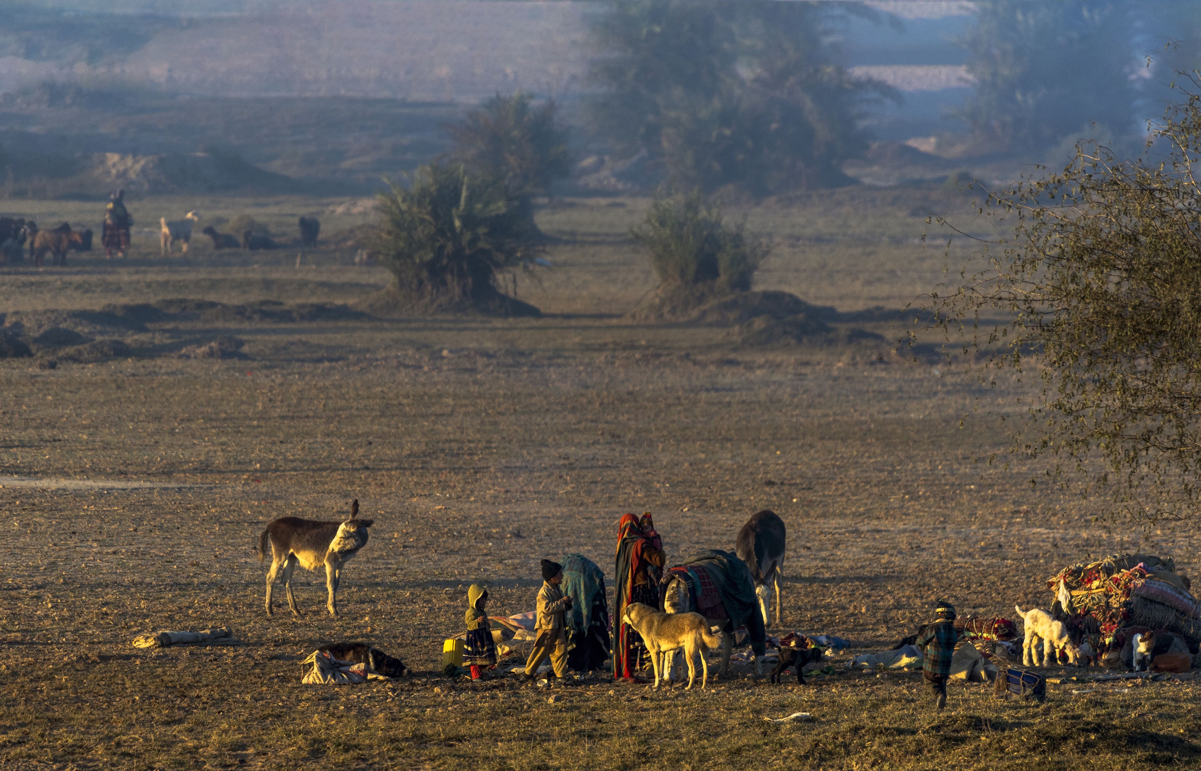 Paisaje rural con un grupo de personas y animales, incluyendo burros y un perro, en un campo con vegetación escasa y árboles a lo lejos.