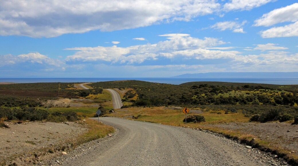 Departamento Magallanes