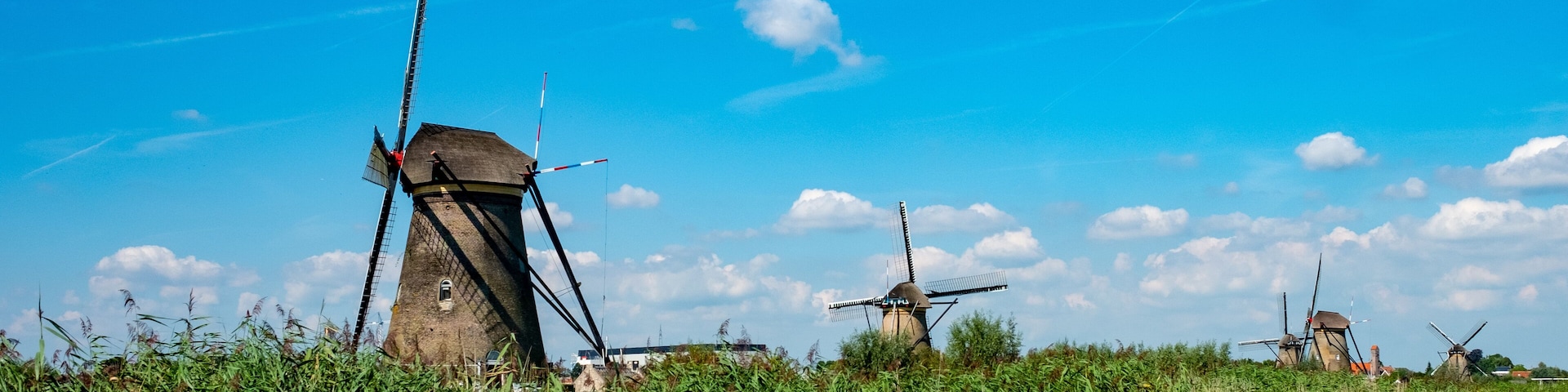 Un moulin à vent se dresse dans un champ, sous un ciel bleu dégagé.