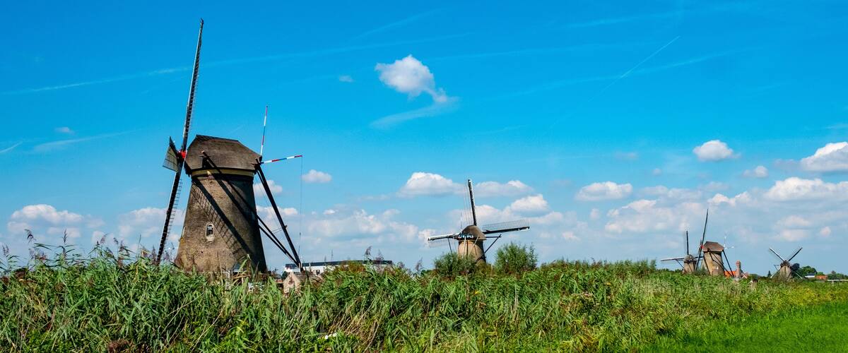 A windmill in a field with a clear blue sky.