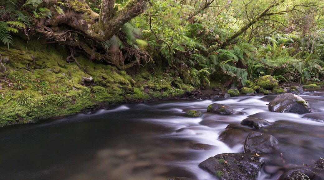 Distrito de Wanganui