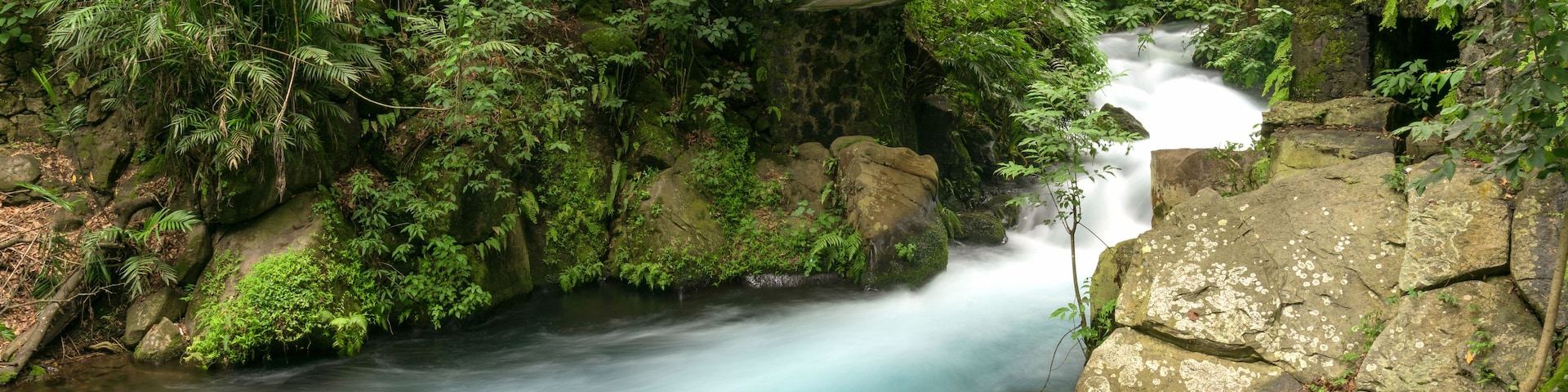 A waterfall flowing over moss-covered rocks in a lush, green forest.