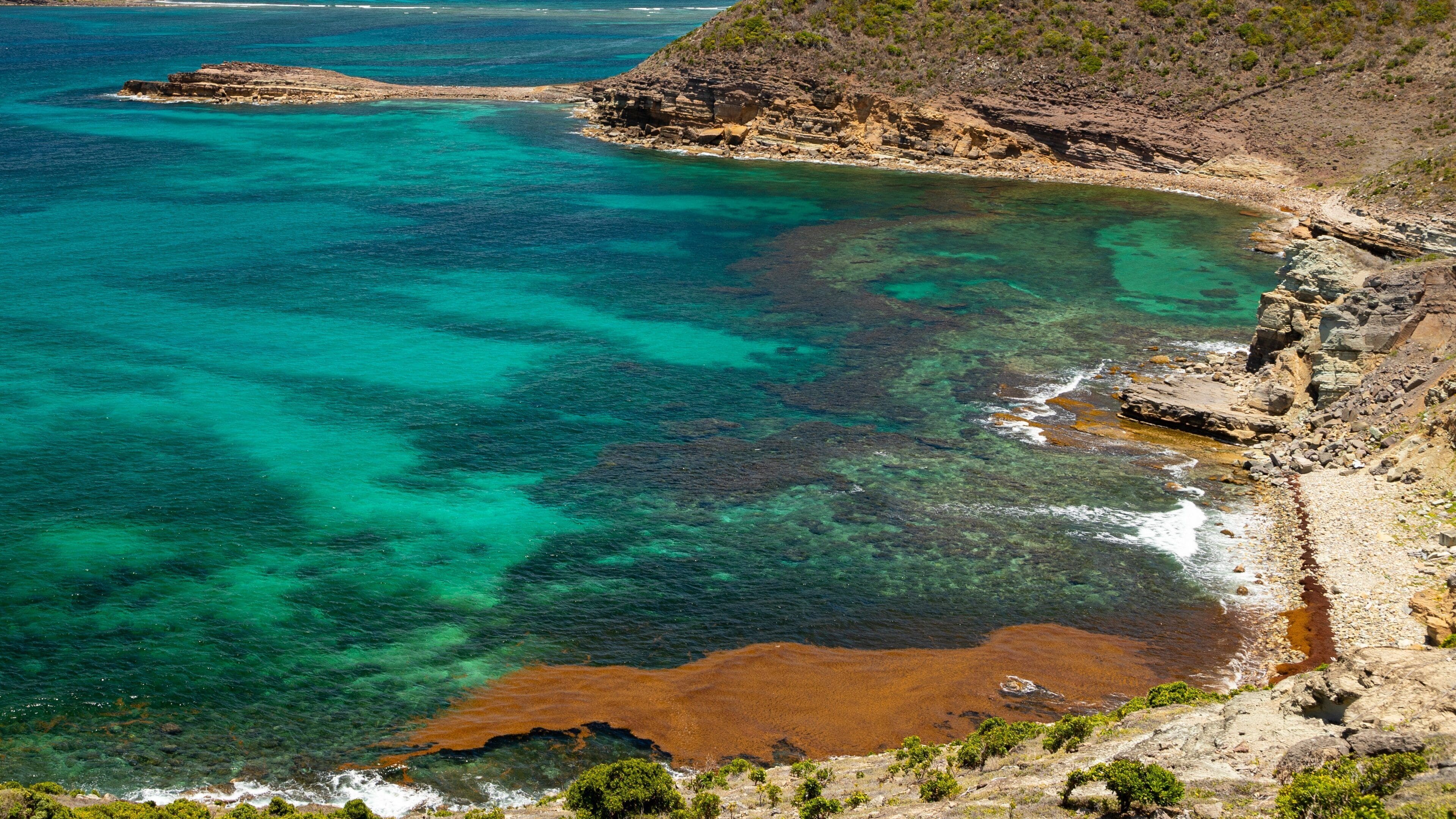 Petit Cul-de-Sac which includes rocky coastline and general coastal views