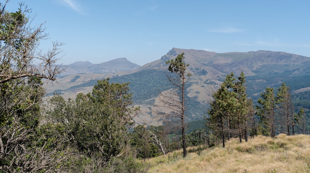 View of a Hogsback mountain in the Amathole mountain, Eastern cape