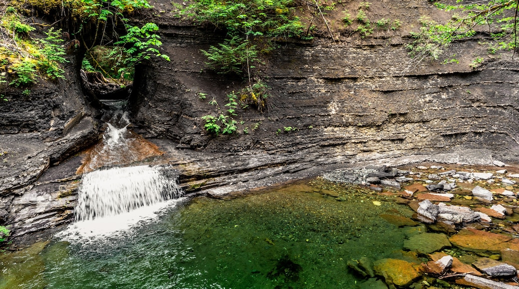 Una cascada se precipita en una piscina cristalina rodeada de acantilados rocosos y exuberante vegetación.