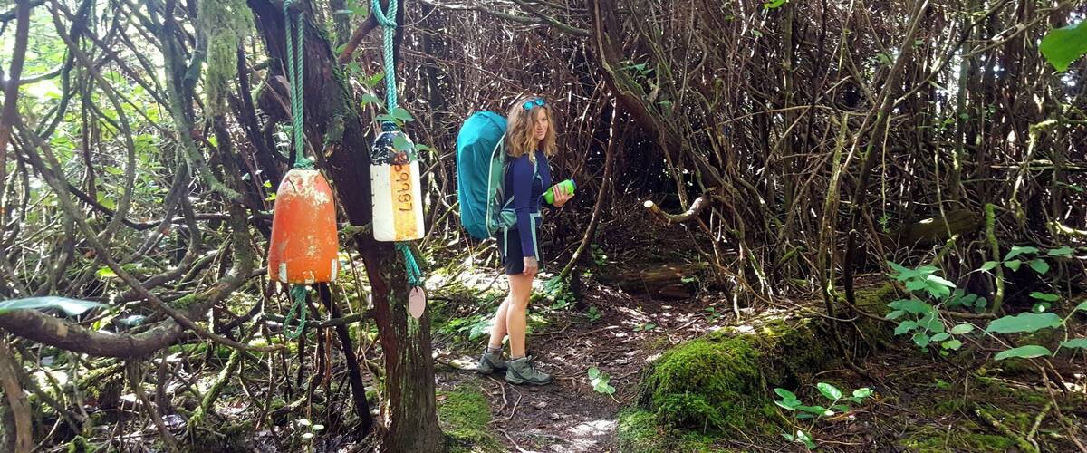 A forested trail with a person hiking, a rope swing, and a trail marker.