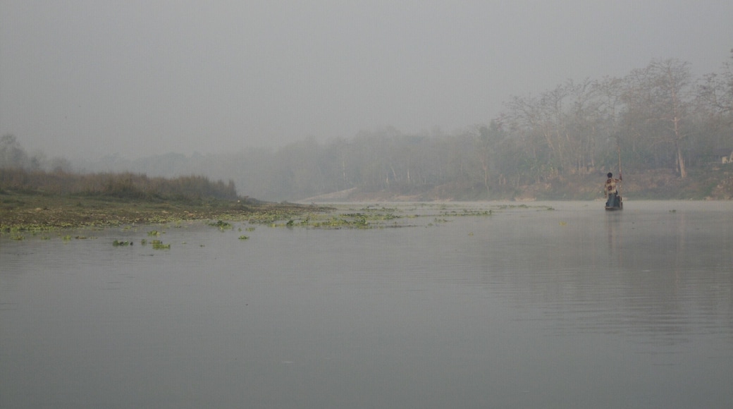 An early morning, searching for wildlife