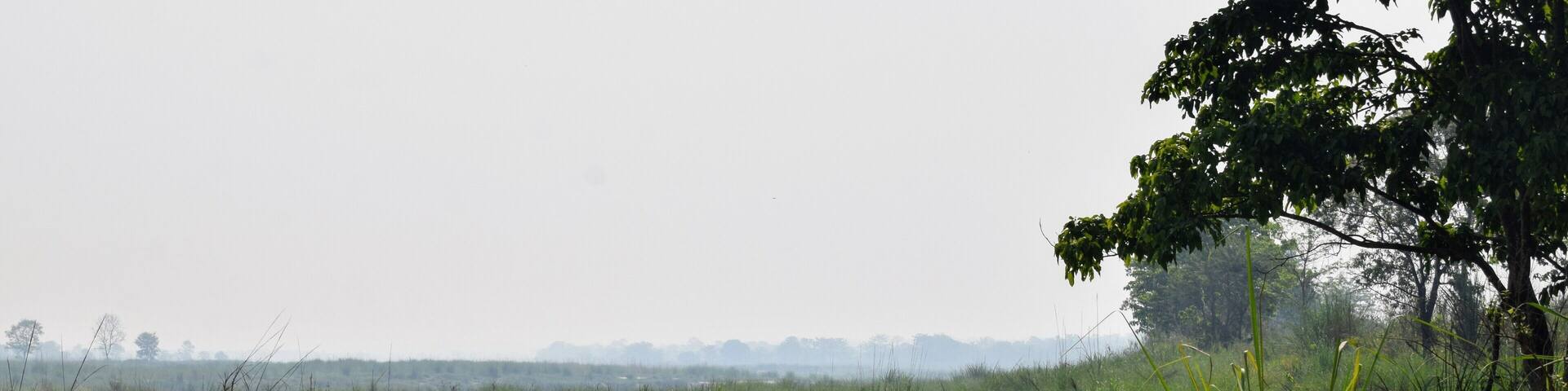 On our walking safari with guides from United Jungle Guides in Sauraha, we were fortunate enough to see 10 wild Indian rhinos! These 4 were bathing in a watering hole in Chitwan National Park.
#wildlife #nepal #chitwan #rhinos
