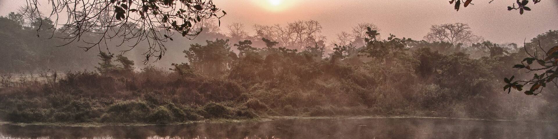 Mystic morning at the Chitwan National Park camp (Nepal)