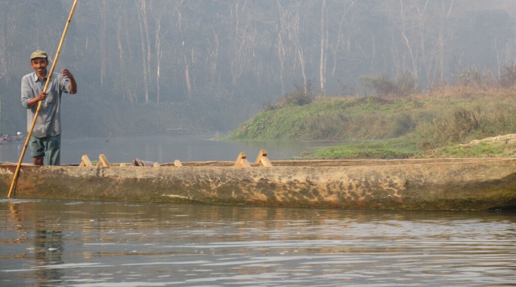 These boats are made up of a single tree trunk, and are so light weight that you have to sit exactly at the centre!
P.S: Crocodiles might swim past you!
#wildlifesafari #safari #nepal #chitwannationalpark #chitwan #nationalpark #wild #TroveOn
