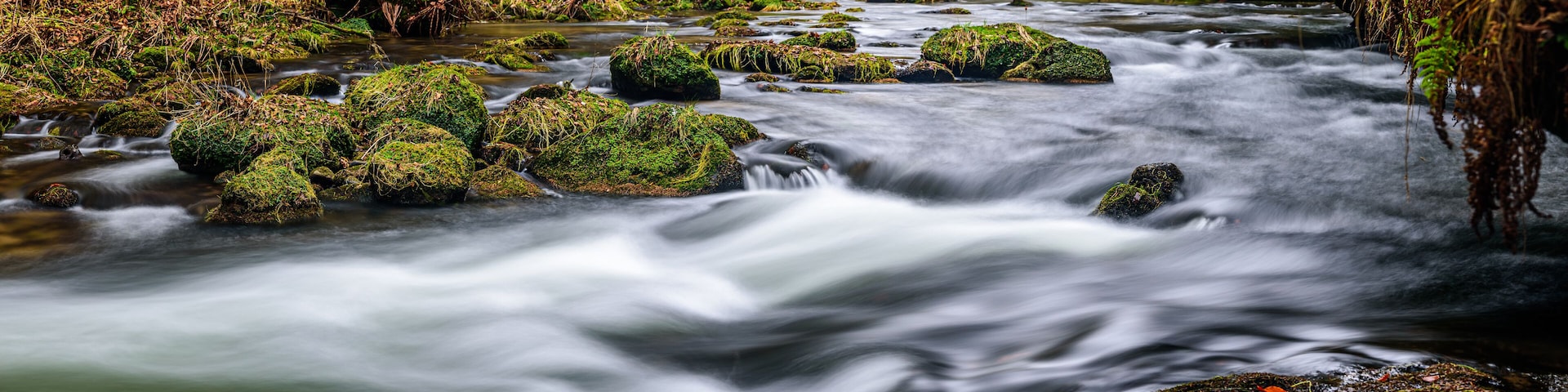 The Kamenice is a 35.6-kilometre-long river in the Děčín District, in Czech Republic. It originates in the Lusatian Mountains and then flows through the national park of Bohemian Switzerland.