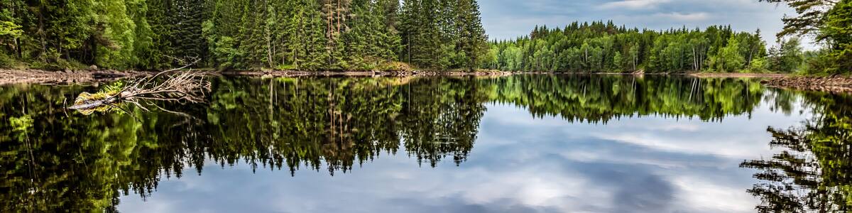 Summer in Sweden a cloudy day. Lake in the forest. Sky reflection in the lake