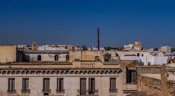 Panorama view of buildings in Tunis Medina, Tunisia
