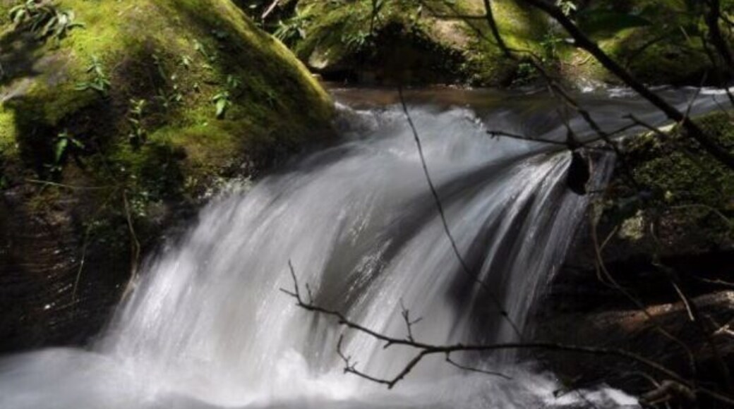 Just a little waterfall during our hike