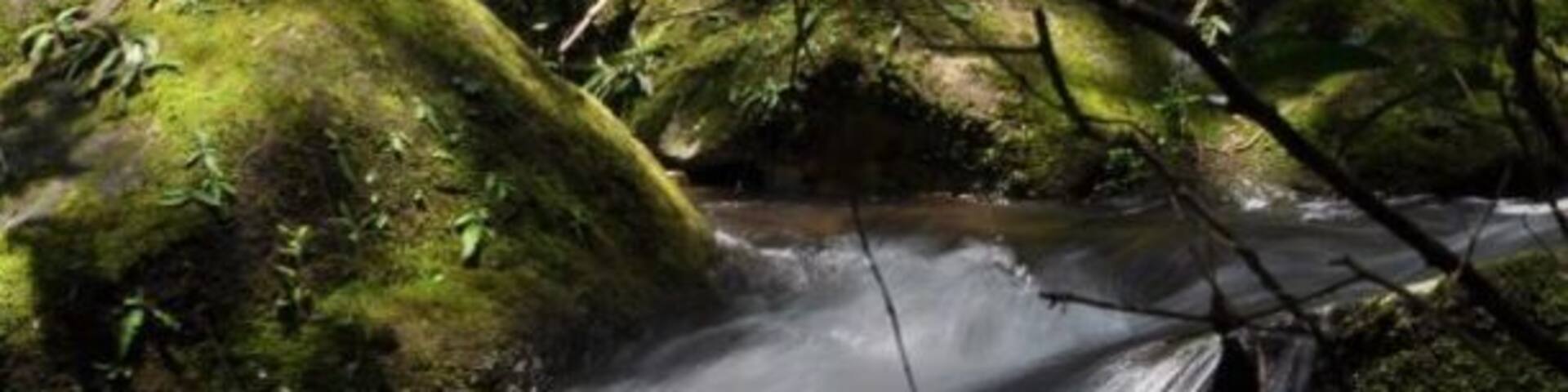 Just a little waterfall during our hike