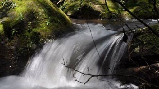 Just a little waterfall during our hike
