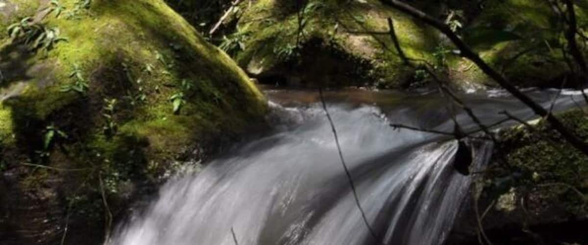 A waterfall in a forested area with moss-covered rocks and a stream.